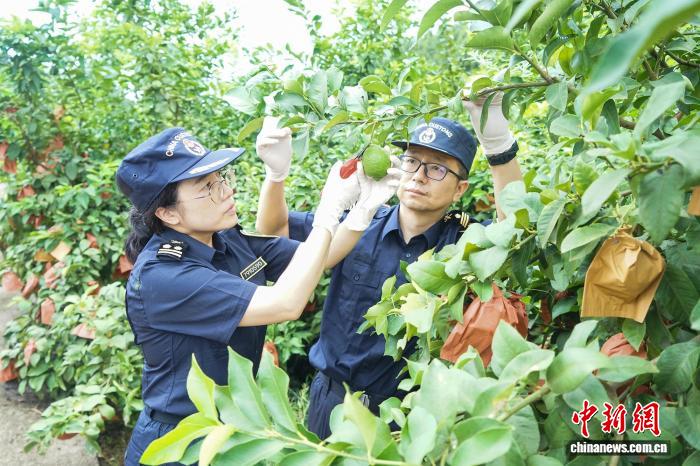 开云体育：资讯、分析与实时比分 - 开云体育官网